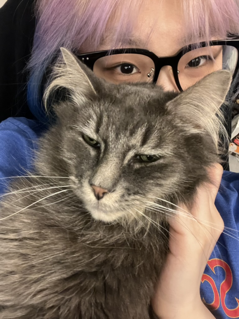 cat 2