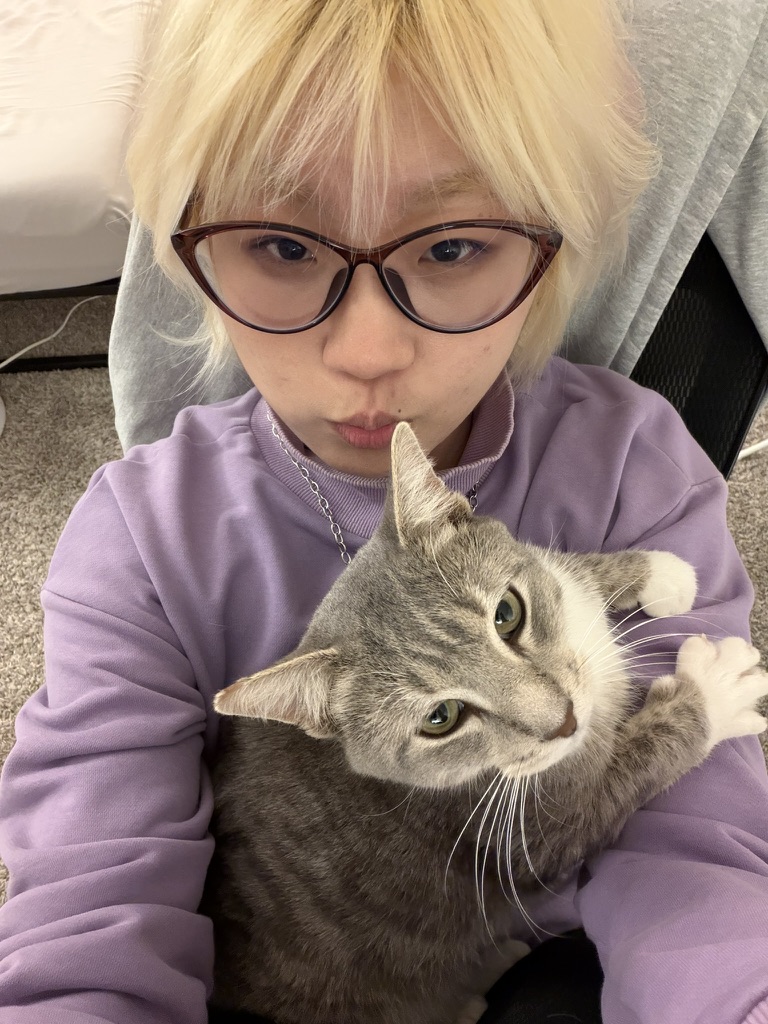 cat 3